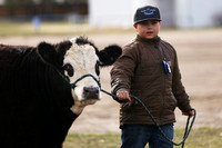 4H Beef Clinic - 20210424