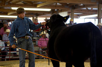 JCFR Livestock Auction