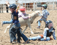 Johnson County Fair and Rodeo 2019